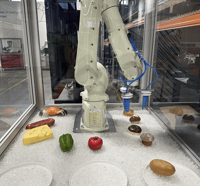 Kawasaki Robotics – paletyzacja i pakowanie w branży spożywczej