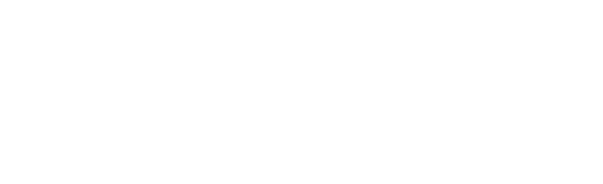 Profesal Logo